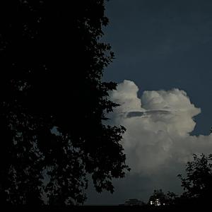 欧美大片黄片之舔吸阴道狂
